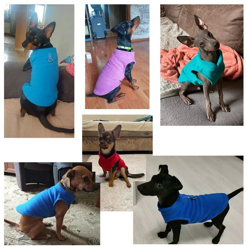 Autumn and Winter Pet Clothes, New Dog Shaggy Velvet Outfit, Pull-Over Warm Vest for Pets