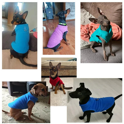 Autumn and Winter Pet Clothes, New Dog Shaggy Velvet Outfit, Pull-Over Warm Vest for Pets