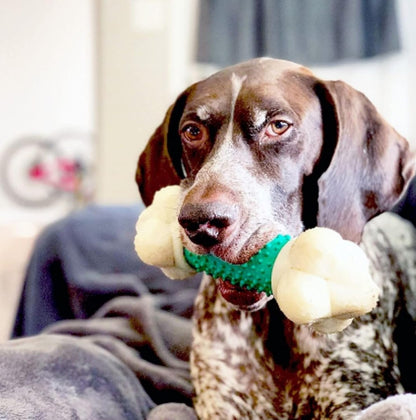Double Action Bone Power Chew Toy for Dogs, Dog Toys for Aggressive Chewers, Bacon Flavor, X-Large - 50+ Lbs, 1 Count