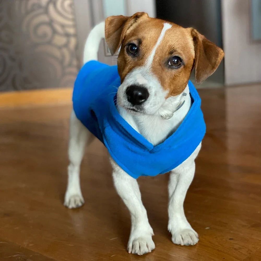 Autumn and Winter Pet Clothes, New Dog Shaggy Velvet Outfit, Pull-Over Warm Vest for Pets