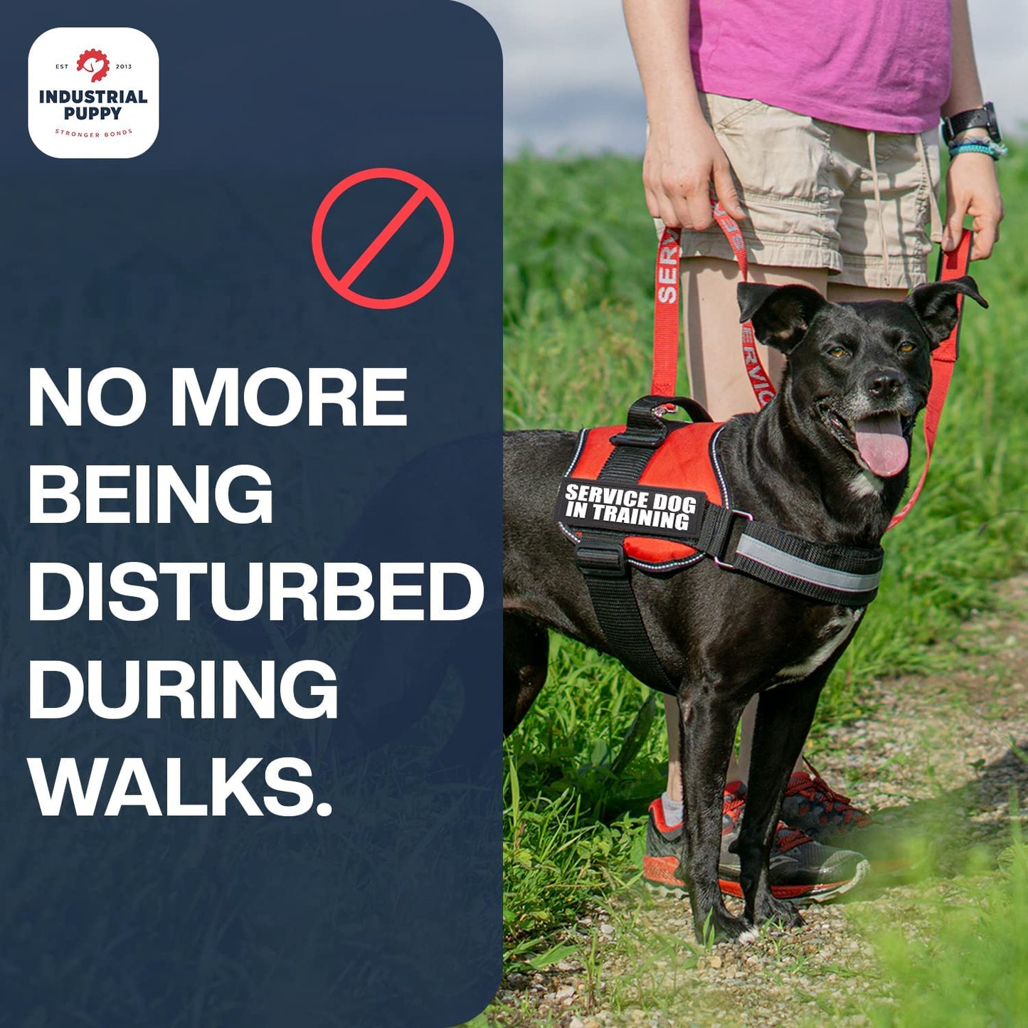 2 Do Not Pet Dog Patch - Reflective Hook-Back Dog Patches for Clear Visibility, Durable Vest Patches for Identification, Compatible with Hook & Loop Vest Gear - XXS 1"X2"