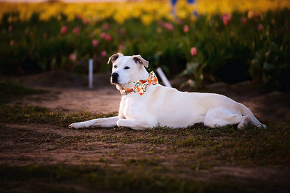 Floral Dog Collar with Bow, Comfortable Dog Bowtie, Bowtie Dog Collar Adjustable Girl Dog Collars perfect for Small Medium Large Dogs and Cats